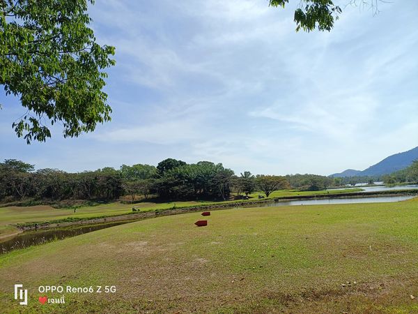 Wangjuntr Golf Park tree sky grass and nature