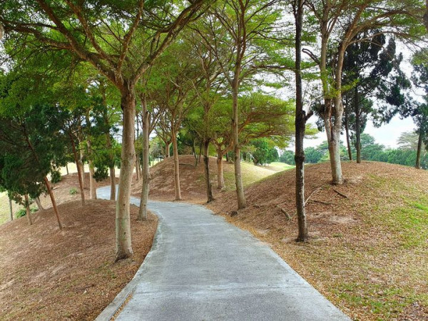 Rayong Green Valley Golf tree road nature and grass