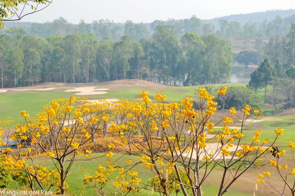 Wangjuntr Golf Park-2