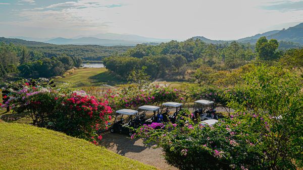 Wangjuntr Golf Park flower tree and nature