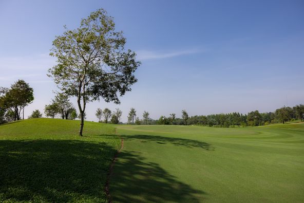 Siam Country Club grass golf course nature and tree