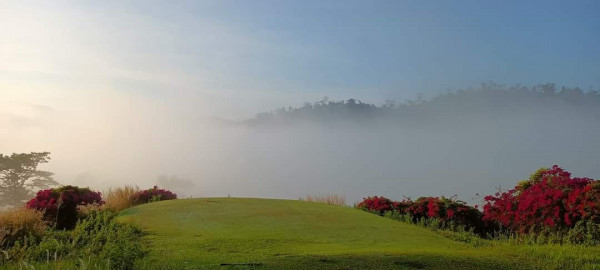 Wangjuntr Golf Park golf course nature grass and tree