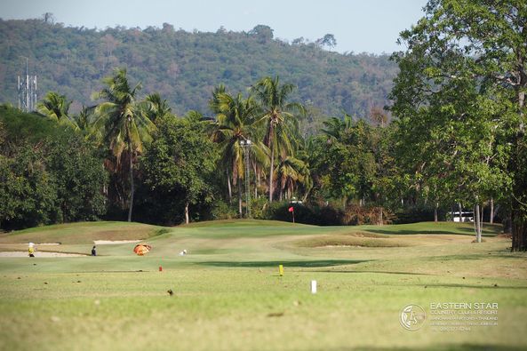 Eastern Star Country Club amp Resort 1 person golf course grass and nature