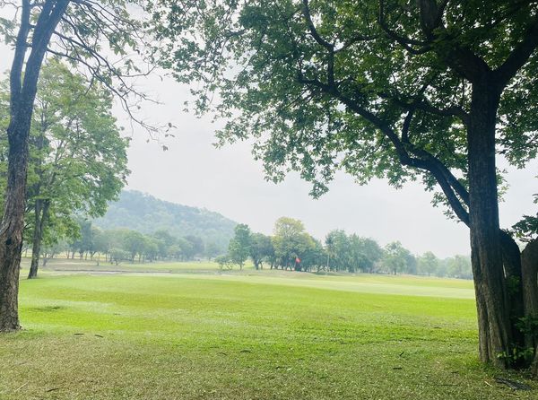 Bangpra Golf Club and Resort golf grass fog and golf course