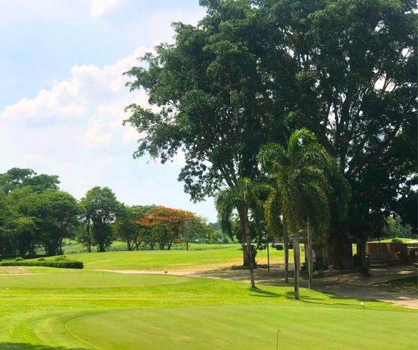 Greenwood Golf Club golf tree and golf course