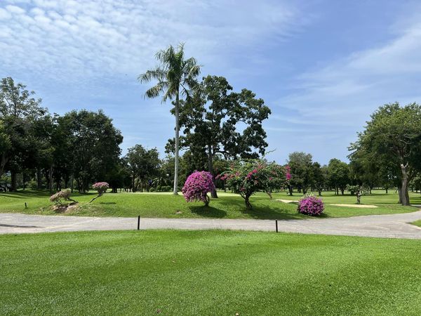 Bangpra Golf Club and Resort golf golf cart grass golf course and tree