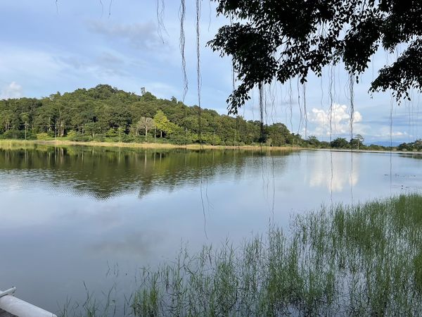 Chatrium Golf Resort Soi Dao Chanthaburi lake and grass