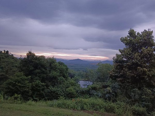 content-image-2.jpg