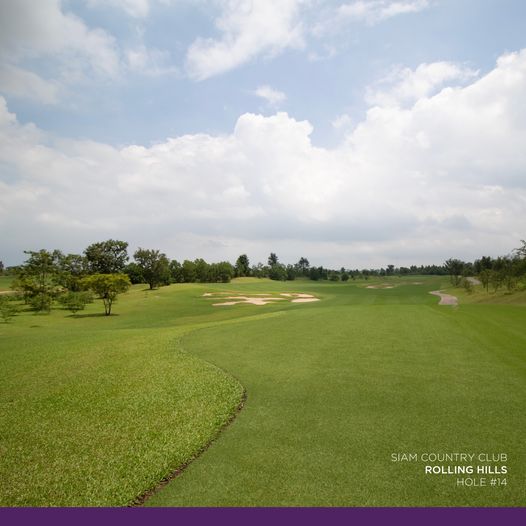grass golf course and nature