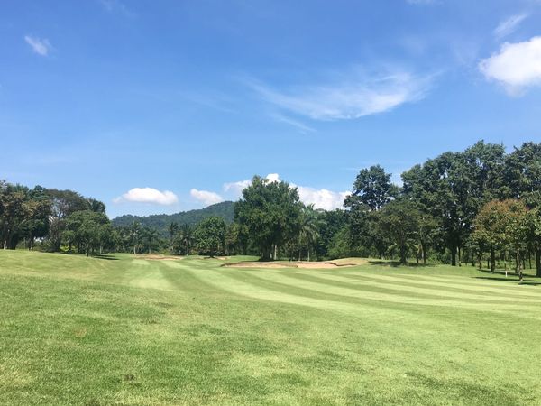 golf course grass tree and nature