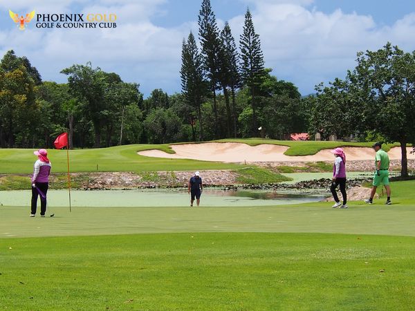 4 people people playing sports golf course grass nature and PHOENIX GOLD GOLF COUNTRY CLUB 1 3 B