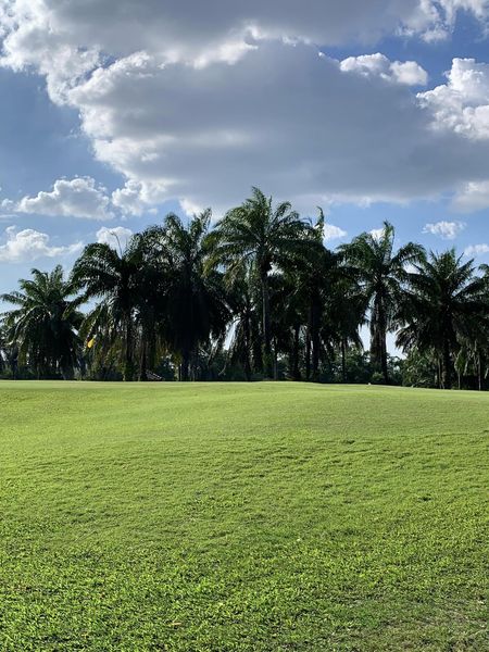 สนามกอล์ฟ Mountain Shadow cloud palm trees nature and grass