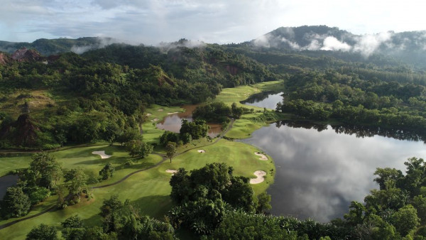 tree golf course and nature