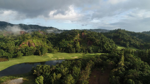 nature tree golf course and grass