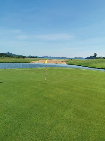 golf course grass and nature