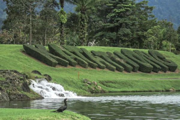 Katathong Golf Resort amp Spa grass nature and tree