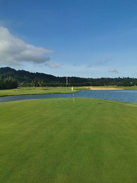 Missionhillsphuket golf course grass and nature Missionhillsphuket golf course grass and nature