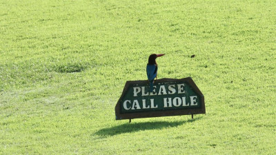 Guess what is this hole?