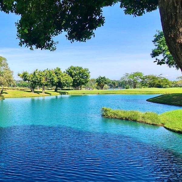 Blue Canyon Country Club tree lake and nature