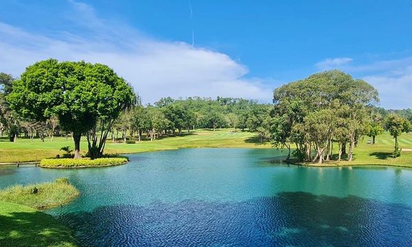 Blue Canyon Country Club tree and nature