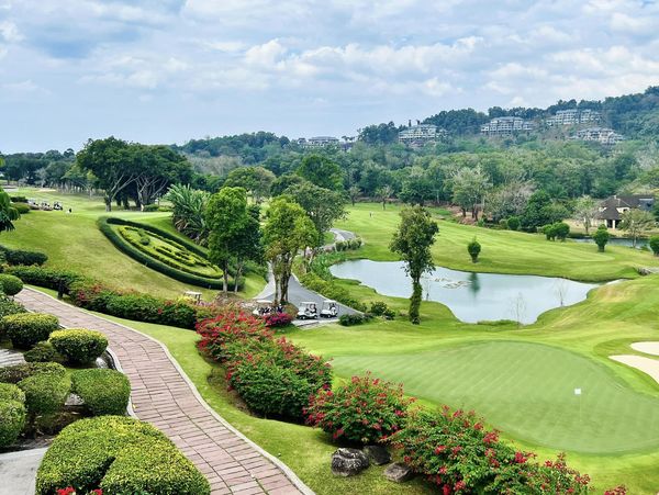 Blue Canyon Country Club nature golf course grass and tree