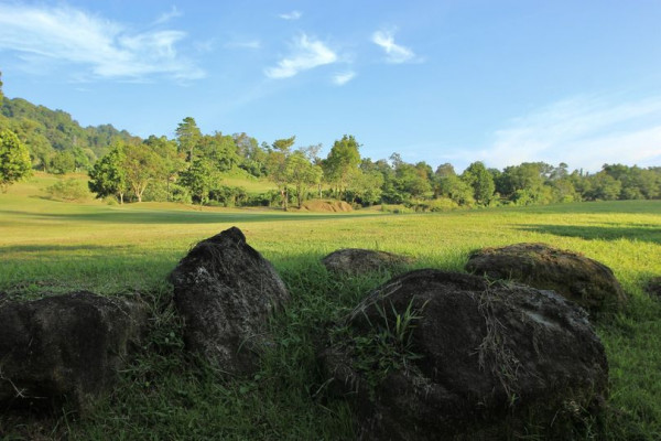 Red Mountain Golf Club Phuket Thailand grass tree and nature