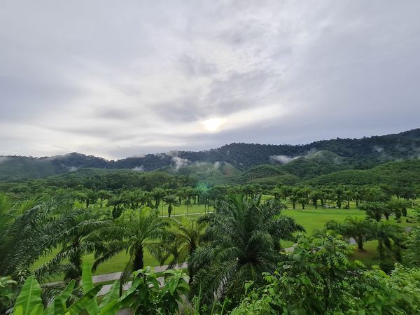 Katathong Golf Resort amp Spa golf course fog mountain grass twilight horizon tree and cloud