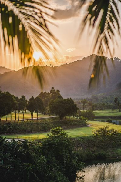 Katathong Golf Resort amp Spa nature twilight golf course and palm trees