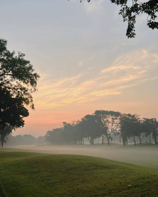 สนามกอล์ฟไดนาสตี้ แอนด์ คันทรีคลับ Dynasty Golf amp Country Club grass nature tree and golf course
