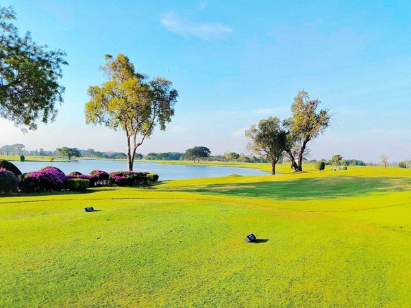 Bangpakong Riverside Country Club tree grass nature and golf course