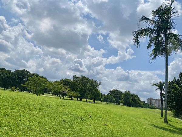 Muang Ake Golf Club cloud nature tree and grass