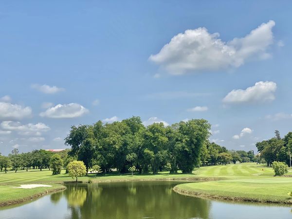 Muang Ake Golf Club nature golf course grass and tree