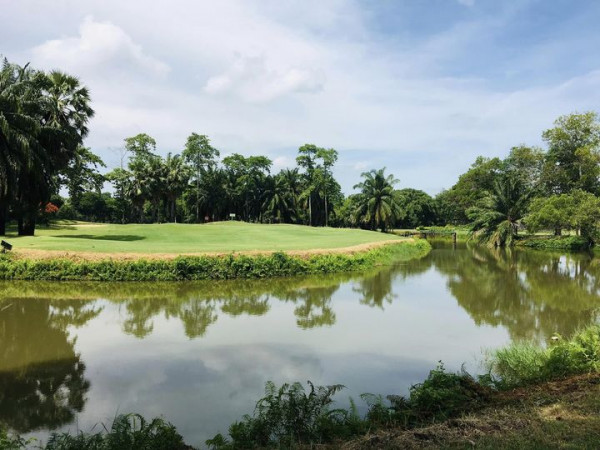 สนามกอล์ฟไดนาสตี้ แอนด์ คันทรีคลับ Dynasty Golf amp Country Club golf golf course and grass