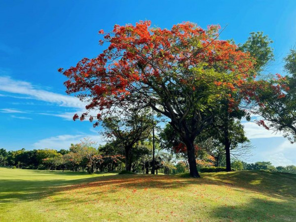 สนามกอล์ฟไดนาสตี้ แอนด์ คันทรีคลับ Dynasty Golf amp Country Club golf course and nature
