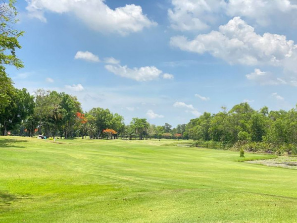 สนามกอล์ฟไดนาสตี้ แอนด์ คันทรีคลับ Dynasty Golf amp Country Club grass golf course and tree