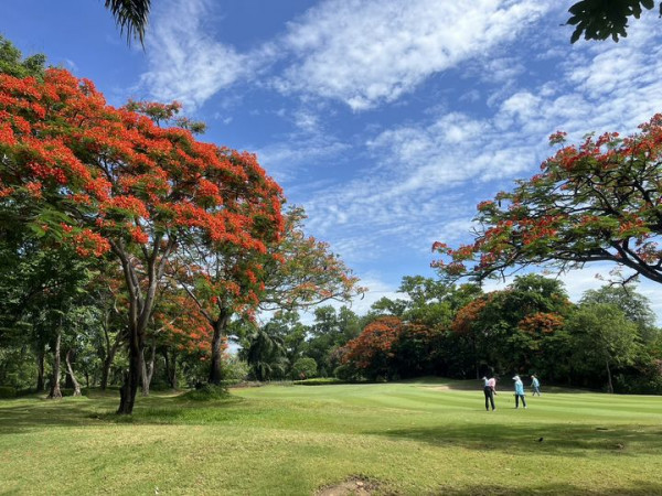 สนามกอล์ฟไดนาสตี้ แอนด์ คันทรีคลับ Dynasty Golf amp Country Club 3 people and tree
