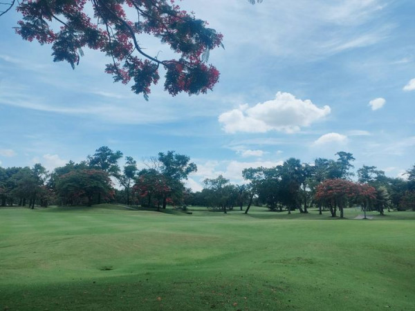 สนามกอล์ฟไดนาสตี้ แอนด์ คันทรีคลับ Dynasty Golf amp Country Club golf golf course tree and grass