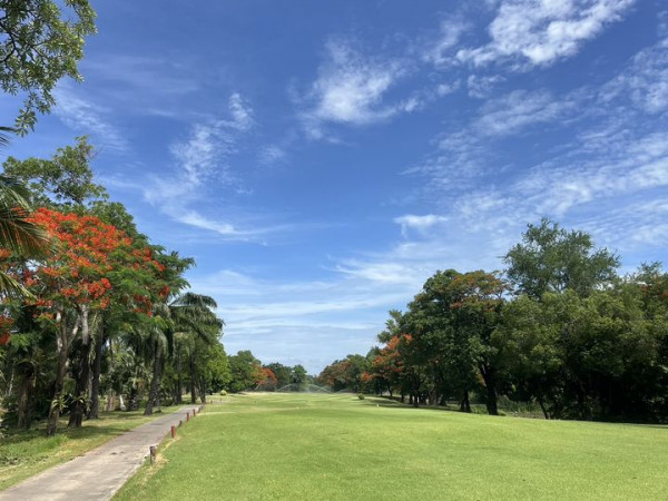 สนามกอล์ฟไดนาสตี้ แอนด์ คันทรีคลับ Dynasty Golf amp Country Club nature tree cloud and golf course
