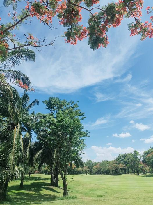 สนามกอล์ฟไดนาสตี้ แอนด์ คันทรีคลับ Dynasty Golf amp Country Club golf course and tree