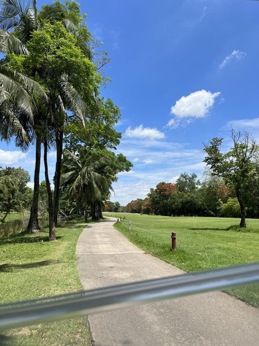 สนามกอล์ฟไดนาสตี้ แอนด์ คันทรีคลับ Dynasty Golf amp Country Club golf cart grass road and golf course