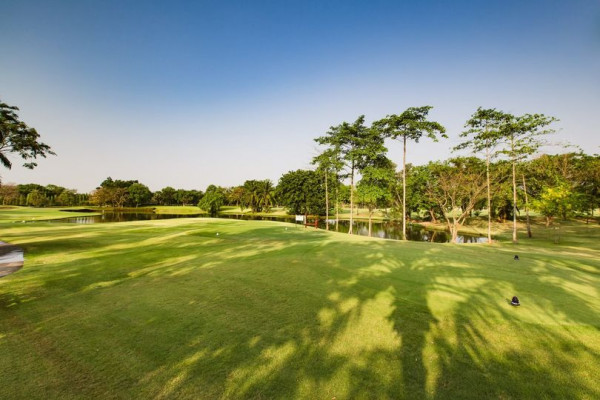 สนามกอล์ฟไดนาสตี้ แอนด์ คันทรีคลับ Dynasty Golf amp Country Club golf grass and golf course