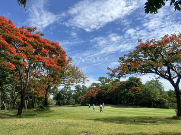 สนามกอล์ฟไดนาสตี้ แอนด์ คันทรีคลับ Dynasty Golf amp Country Club 4 people