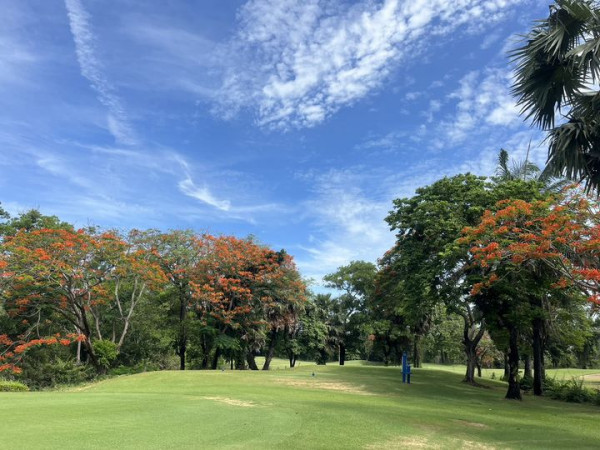 สนามกอล์ฟไดนาสตี้ แอนด์ คันทรีคลับ Dynasty Golf amp Country Club 1 person tree and cloud