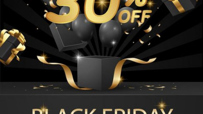 Black Friday Sale 30%