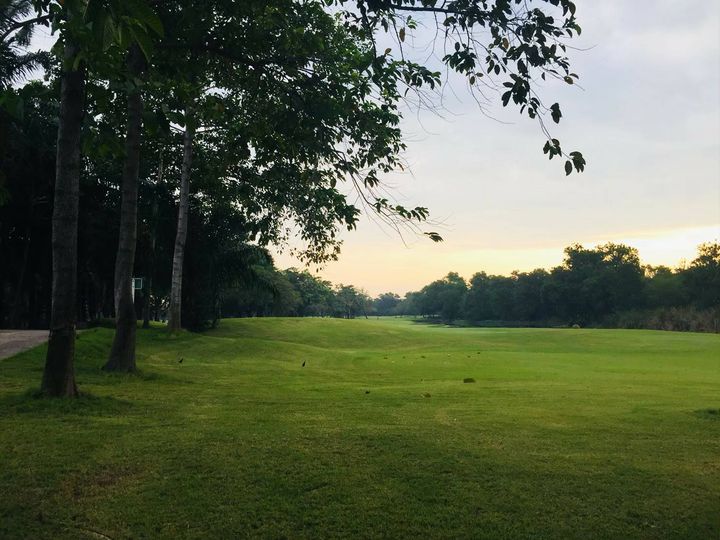 สนามกอล์ฟไดนาสตี้ แอนด์ คันทรีคลับ Dynasty Golf amp Country Club grass tree nature and golf course สนามกอล์ฟไดนาสตี้ แอนด์ คันทรีคลับ Dynasty Golf amp Country Club grass tree nature and golf course